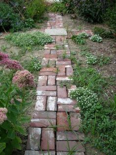 a brick path in the middle of a garden