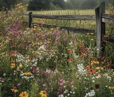 a field full of wildflowers next to a wooden fence