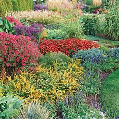 a garden with lots of colorful flowers and plants