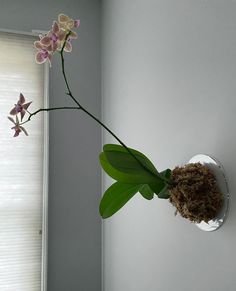 there is a vase with flowers in it and a bird's nest on the wall