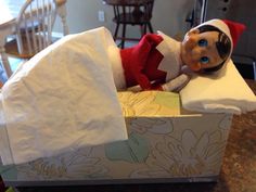 an elf laying on top of a box with a sheet in it's mouth