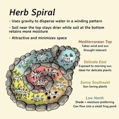 the diagram shows different types of plants that are in an area with water and dirt