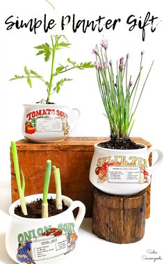 two planters with plants in them sitting on top of a wooden box and the words, simple planter gift