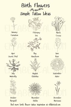 the different types of flowers that can be used for tattoo designs and other things to draw