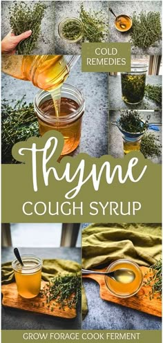 Follow our Thyme Cough Syrup Recipe for a natural approach to herbal remedies recipes. This syrup combines thyme's medicinal properties with honey's soothing effects, perfect for easing coughs and cold symptoms. Ideal for those interested in homemade herbal medicine. Find more about herbalism for beginners, natural remedies, and herbs for health at growforagecookferment.com. Honey Cough Syrup, Cough Syrup Recipe, Thyme Honey, Cold Symptoms