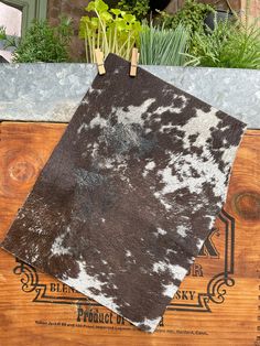 two pieces of cowhide are sitting on top of a wooden crate with plants in the background