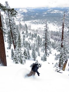 a man riding skis down the side of a snow covered slope next to trees