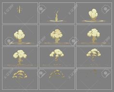 various stages of growing broccoli