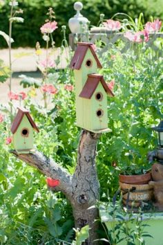 several bird houses on a tree in a garden