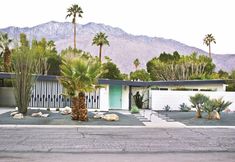 the palm trees are in front of this modern house with mountains in the back ground