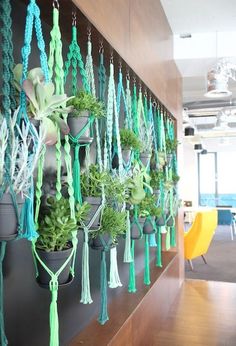 there are many plants that are hanging on the wall in this office building, and they have tassels attached to them