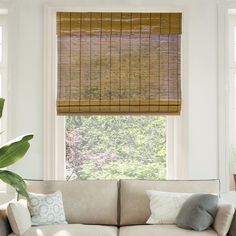 a living room with a couch, window and blinds in it's windowsill