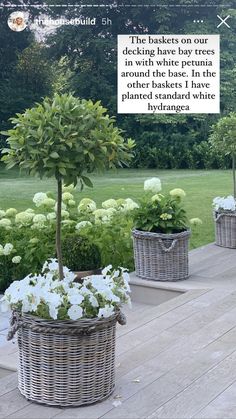 three wicker baskets with white flowers in them on a wooden deck next to trees