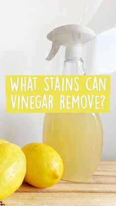 White Vinegar Cleaning Solution, Avocado Planting, Homemade Lemon Cleaner White Vinegar, White Vinegar Cleaning Spray, Cleaning Showers, Vinager And Baking Soda Cleaner, Diy Multipurpose Cleaner Vinegar, Vinegar Stain, Natural Stain Remover