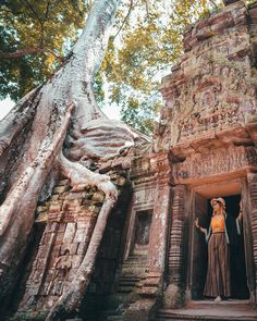 a woman standing at the entrance to an ancient building with trees growing out of it