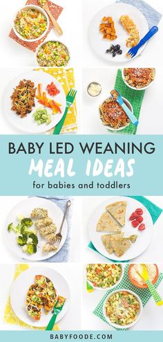 baby led weaning meal ideas for babies and toddlers