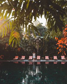 two people standing on the edge of a pool surrounded by trees