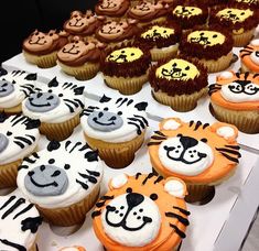 many cupcakes are decorated with different types of animals and faces on top of each other