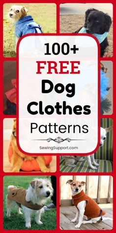 the top ten free dog clothes patterns for dogs with their names and pictures on them