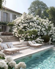 the pool is surrounded by white hydrangeas and lounge chairs, with steps leading up to it