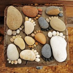 rocks and stones arranged on a wooden board