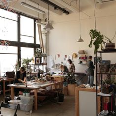 three people working in an office with lots of plants on the desks and shelves