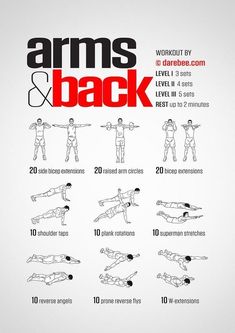 the arm and back workout poster