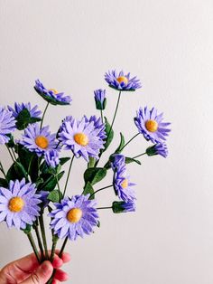 a hand holding a bunch of purple flowers