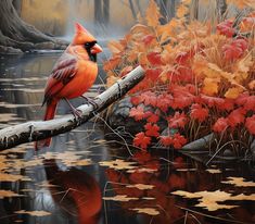 a painting of a cardinal perched on a log in the water surrounded by autumn foliage