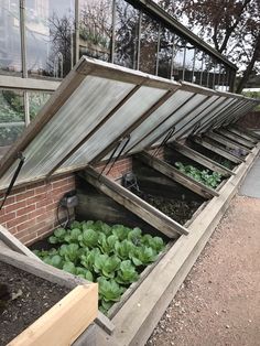 an open greenhouse with lettuce growing in the ground next to a brick building