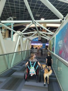 two people in wheelchairs walking down a walkway with a dog on the other side