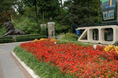 there is a flower bed in front of the entrance to the park with flowers growing out of it