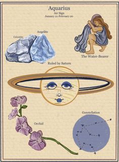 the aquarius zodiac sign is shown with flowers and other astrological symbols around it