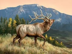 a painting of an elk in the mountains