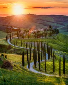 the sun is setting over an italian countryside with trees and rolling hills in the foreground