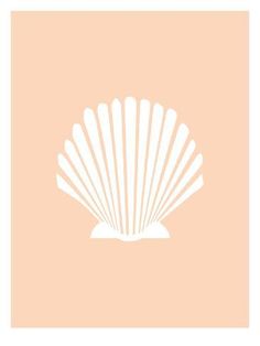 an image of a shell on a pink background