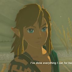 the legend of zelda's avatar is shown in this screenshot from an animated video game