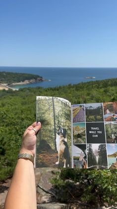 a person holding up a book with pictures of animals and trees in the background on a sunny day