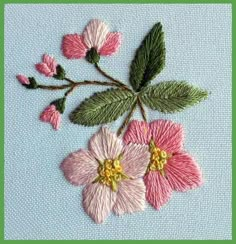 some pink flowers and green leaves on a blue background