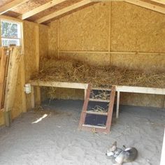 a barn with hay in it and a cat laying on the floor