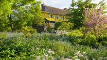 the house is surrounded by trees and bushes