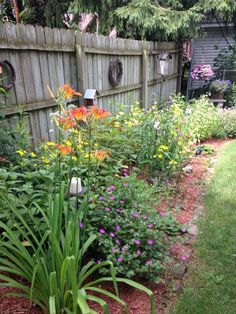 the garden is full of colorful flowers and plants