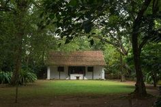 a small white house in the middle of trees and grass with a thatched roof