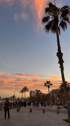 palm trees and people walking on the sidewalk at sunset