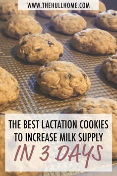 Lactation Cookie Recipe, Lactation Cookie, Lactation Cookies Recipe, Low Milk Supply, Breastfeeding Foods, Lactation Recipes