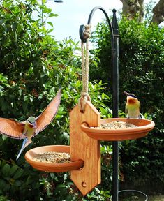 two birds are perched on the bird feeders