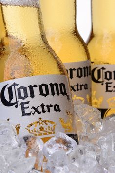 three bottles of corona extra beer sitting on ice