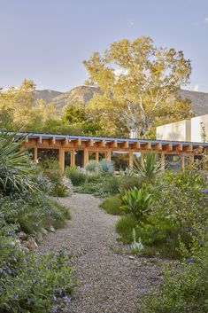 the house is surrounded by greenery and trees, with a gravel path leading to it