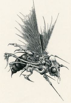 a drawing of a bug with long legs and large wings on it's back