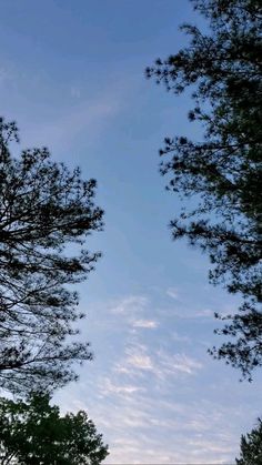 the sky is very blue and there are some trees in front of it with no leaves on them